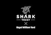 SHARK 03